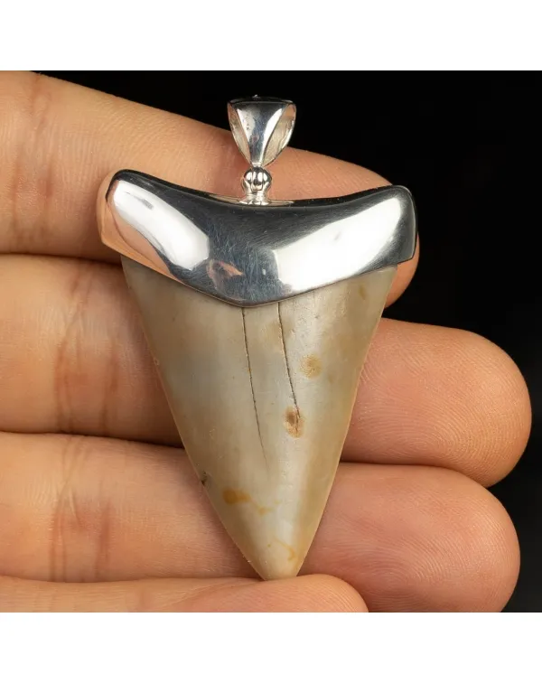Pendente in argento con Dente di Squalo Fossile