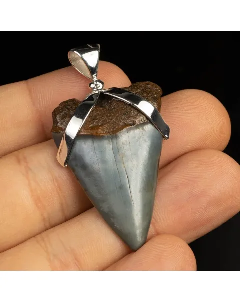 Pendente in argento con Dente di Squalo Fossile