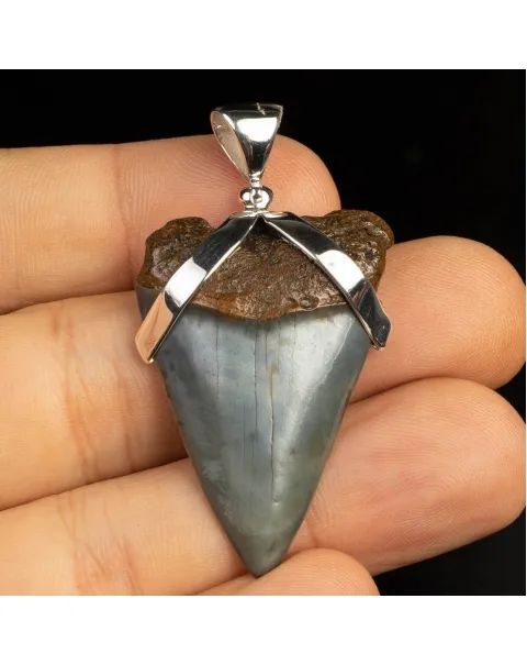 Pendente in argento con Dente di Squalo Fossile