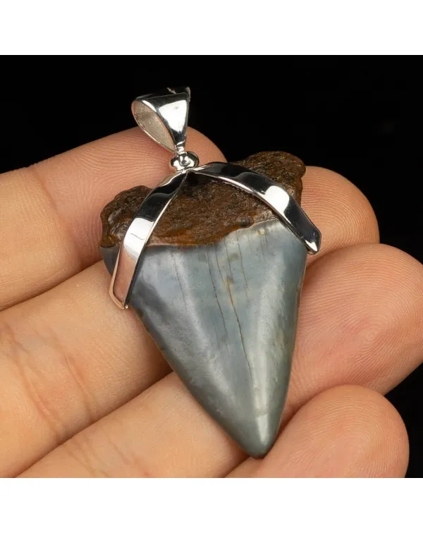 Pendente in argento con Dente di Squalo Fossile