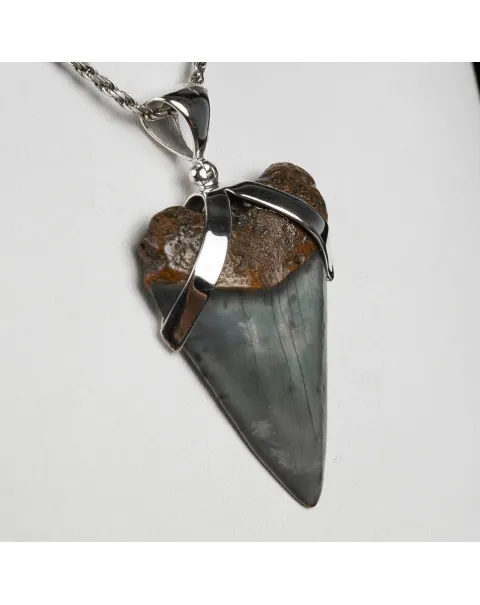Pendente in argento con Dente di Squalo Fossile