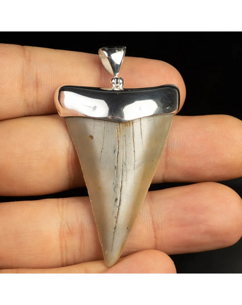 Pendente in argento con Dente di Squalo Fossile