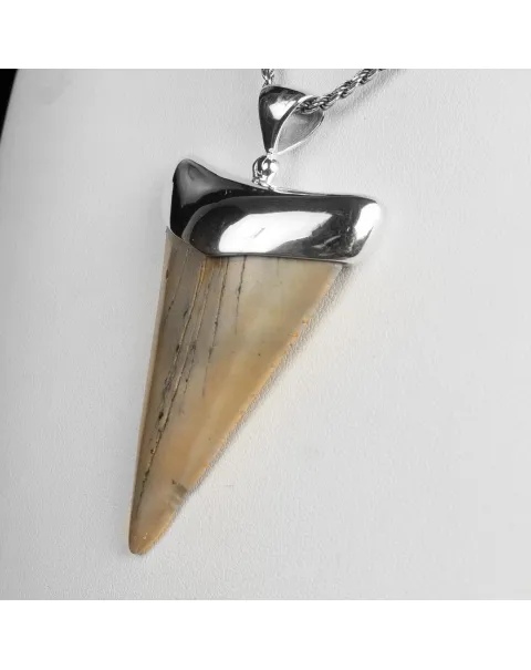 Pendente in argento con Dente di Squalo Fossile