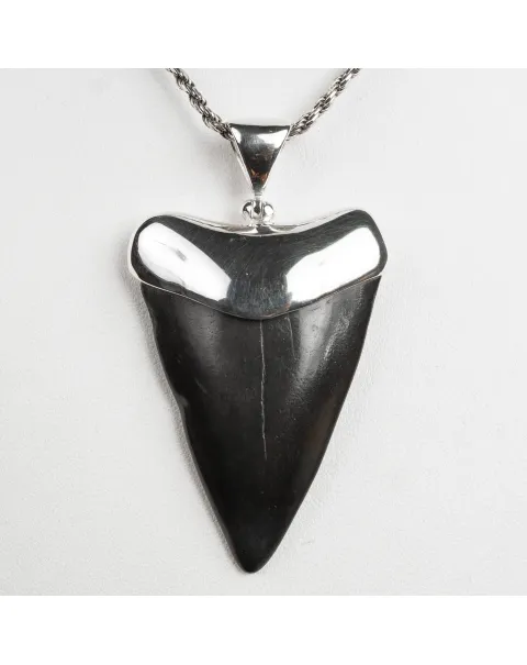 Pendente in argento con Dente di Squalo Fossile