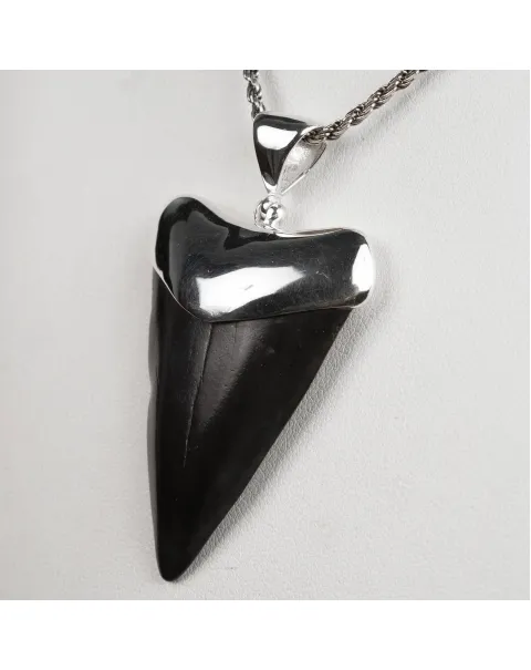 Pendente in argento con Dente di Squalo Fossile