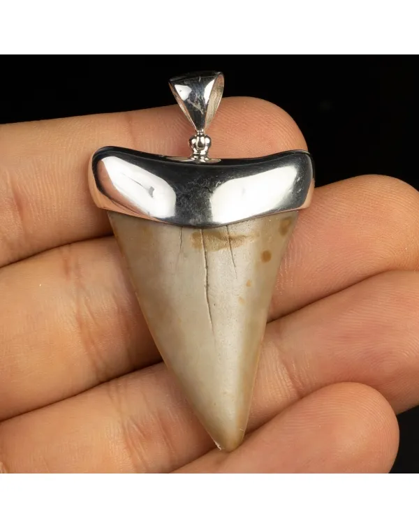Pendente in argento con Dente di Squalo Fossile