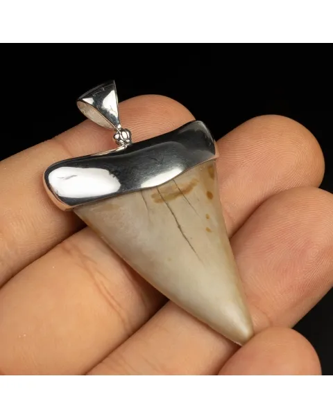 Pendente in argento con Dente di Squalo Fossile