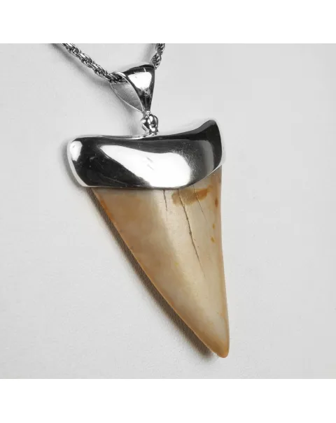 Pendente in argento con Dente di Squalo Fossile