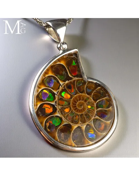 Ciondolo in argento con Ammonite e Ammolite