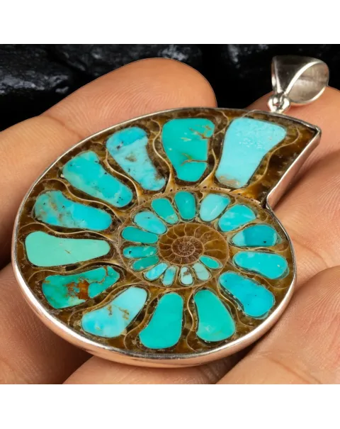 Ammonite Fossile con intarsio in Turchese