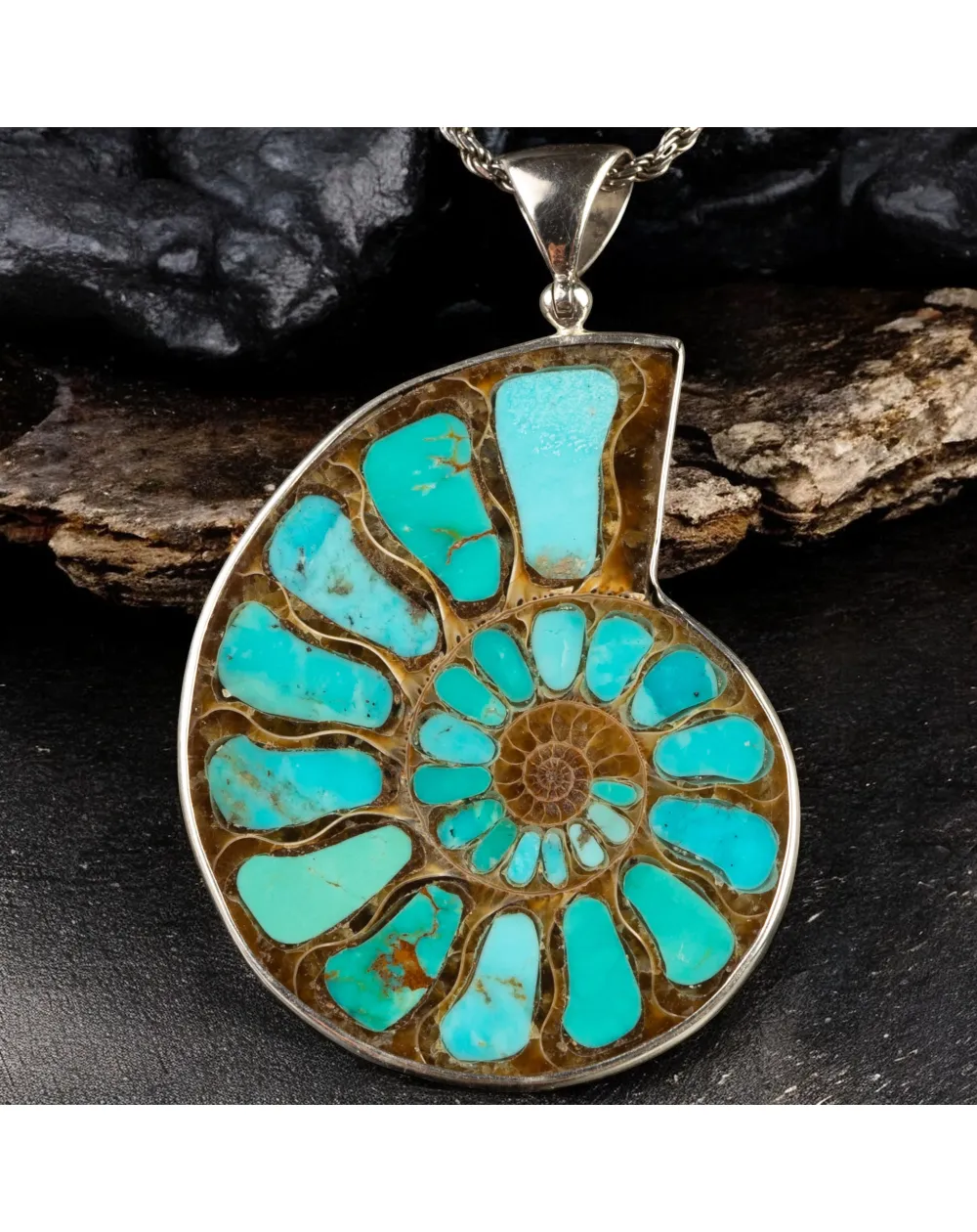 Ammonite Fossile con intarsio in Turchese
