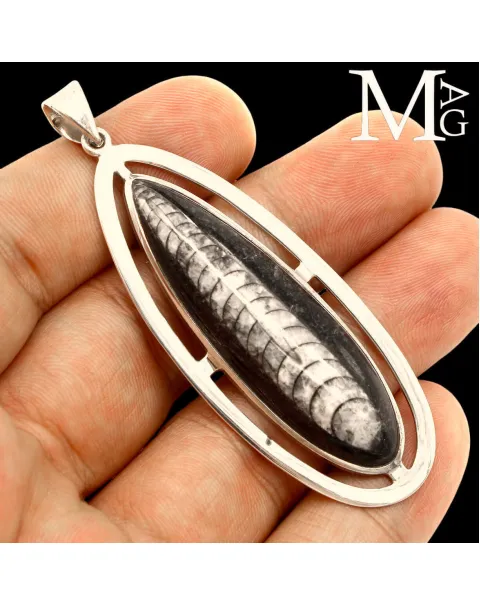 Ciondolo in argento con fossile di Orthoceras