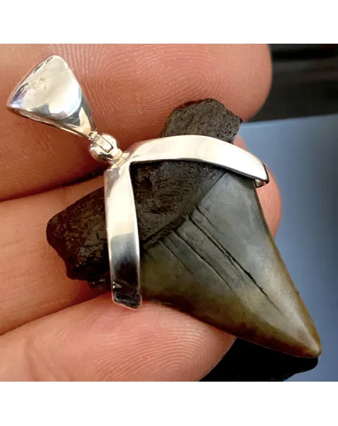 Pendente in Argento 925 con Dente Fossile di Squalo Bianco Hastalis - Un Viaggio nel Tempo