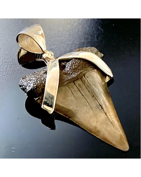 Pendente in Argento 925 con Dente Fossile di Squalo Bianco Hastalis - Un Viaggio nel Tempo