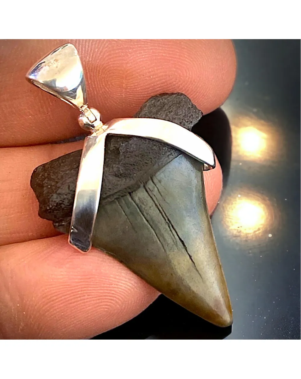 Pendente in Argento 925 con Dente Fossile di Squalo Bianco Hastalis - Un Viaggio nel Tempo
