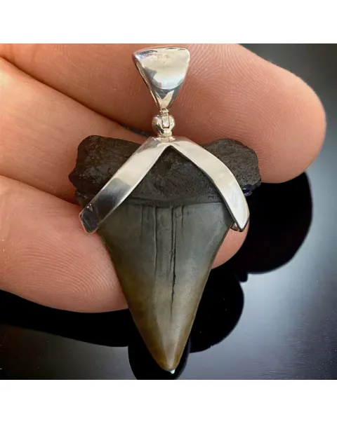 Pendente in Argento 925 con Dente Fossile di Squalo Bianco Hastalis - Un Viaggio nel Tempo