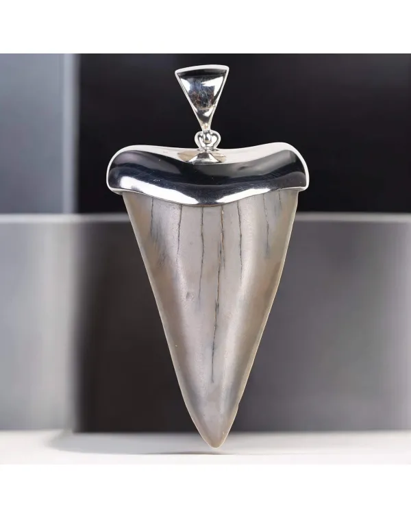 Ciondolo in Argento con Dente Fossile di Squalo Ha...