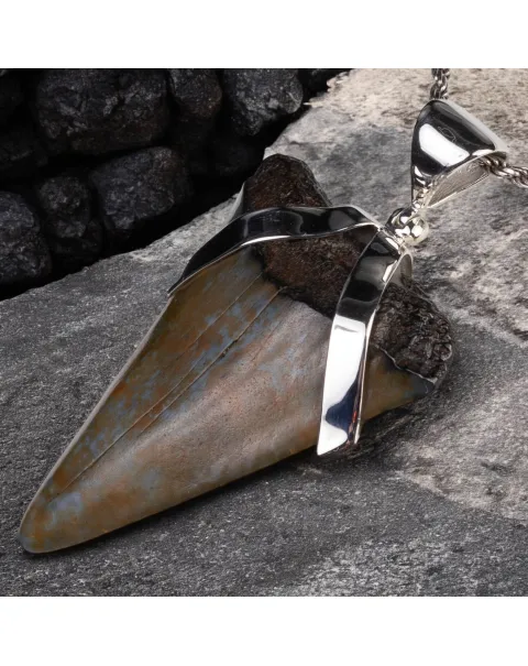 Ciondolo in Argento con Dente Fossile di Carcharodon Hastalis.