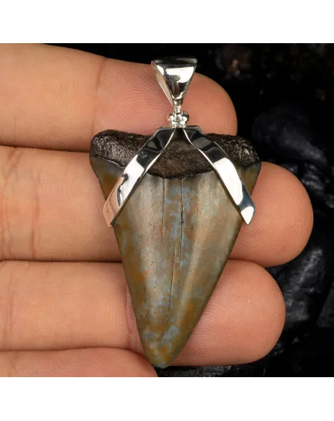 Ciondolo in Argento con Dente Fossile di Carcharodon Hastalis.