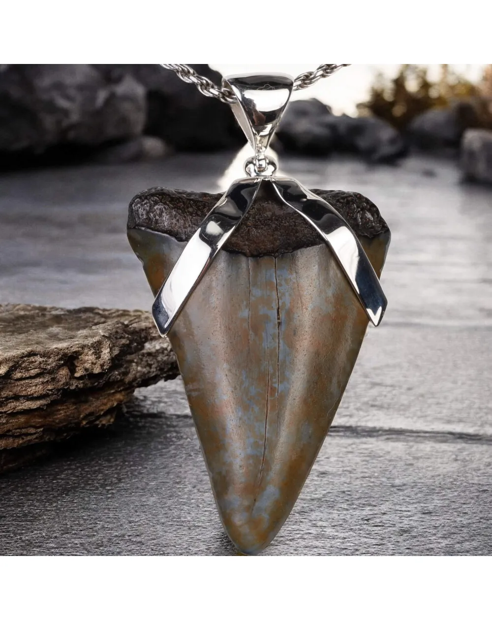 Ciondolo in Argento con Dente Fossile di Carcharodon Hastalis.