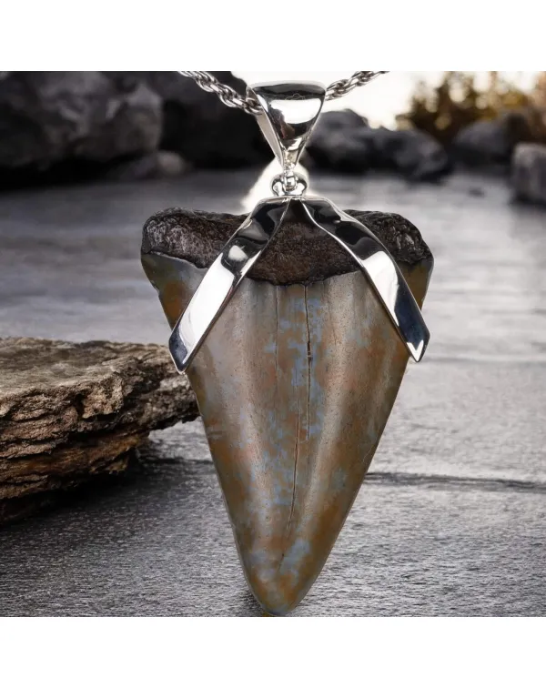 Ciondolo in Argento con Dente Fossile di Carcharod...