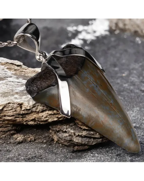 Ciondolo in Argento con Dente Fossile di Carcharodon Hastalis.