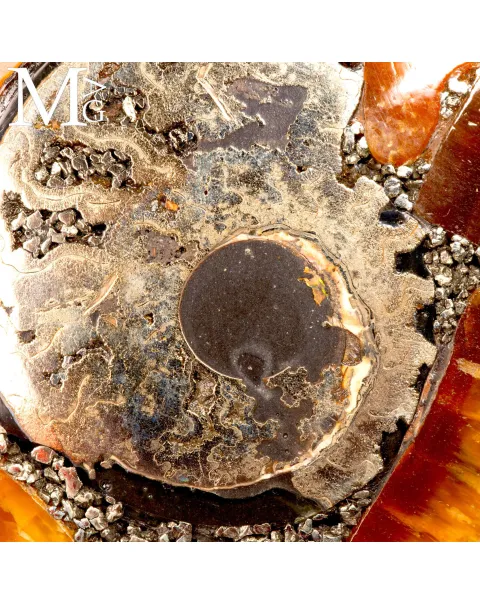 Ciondolo - Ammonite Fossile Piritizzata