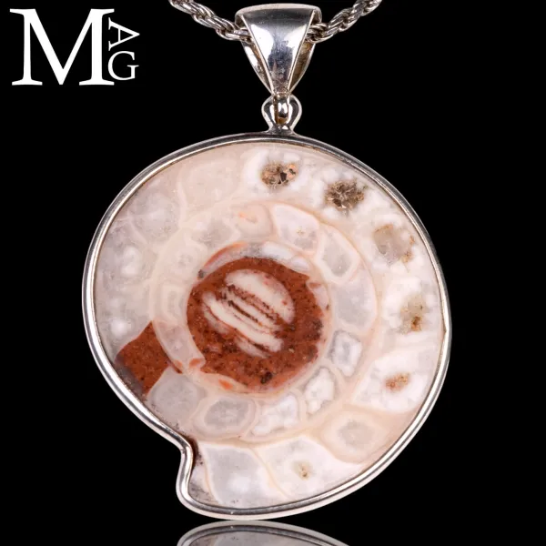 Ciondolo in Argento con Ammonite Fossile Metalegoceras