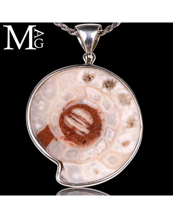 Ciondolo in Argento con Ammonite Fossile Metalegoc...