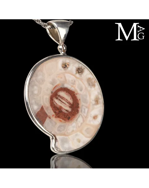 Ciondolo in Argento con Ammonite Fossile Metalegoceras