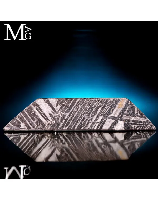 Meteorite Aletai – Frammento con figure di Widma...