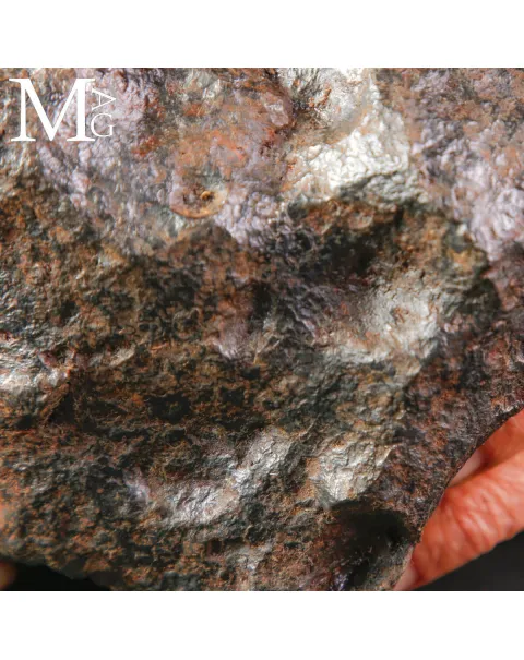 Meteorite Campo del Cielo – Frammento di Stelle Cadute