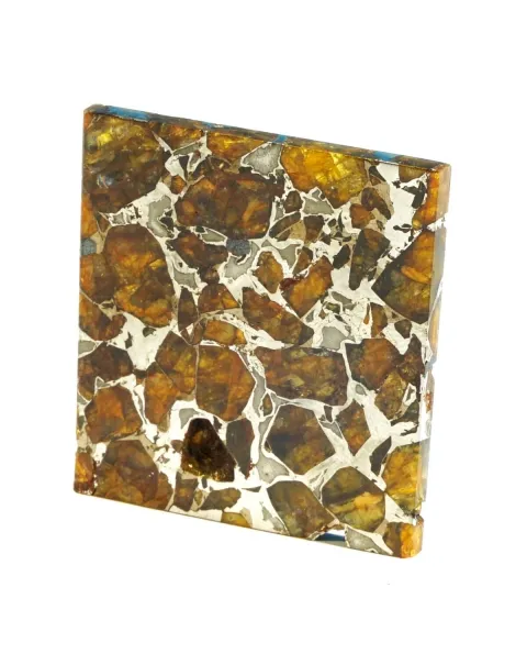 Pallasite Brahin