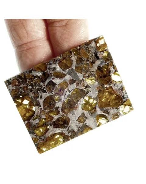 Pallasite Brahin