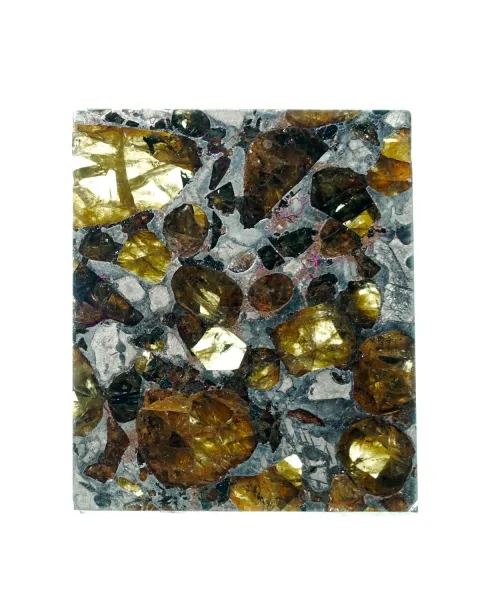 Pallasite Brahin