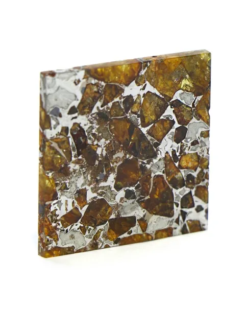 Pallasite Brahin