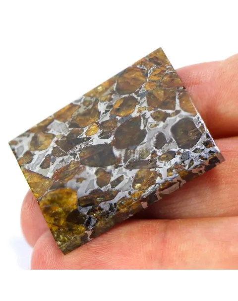 Pallasite Brahin