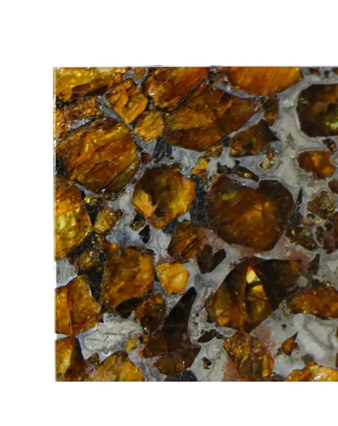 Pallasite Brahin