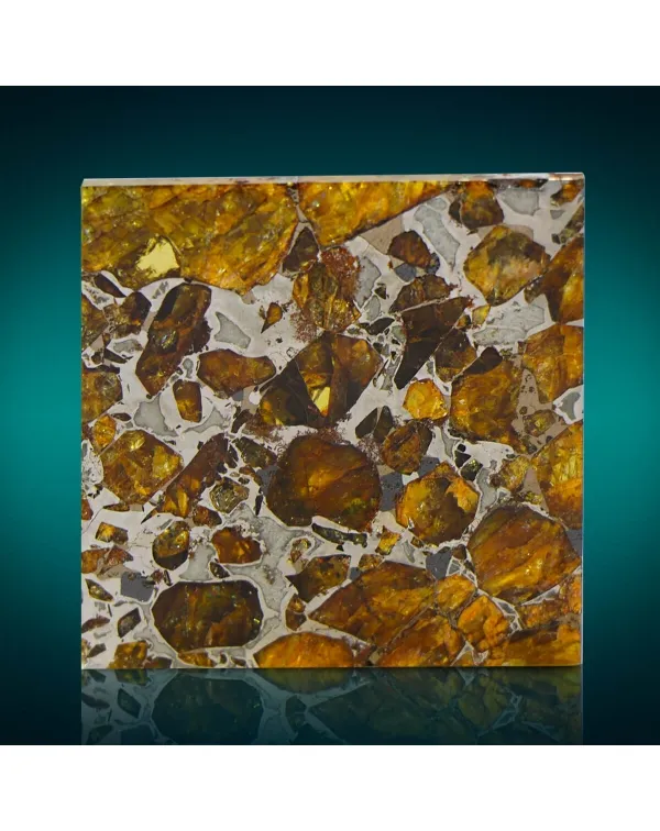 Pallasite Brahin