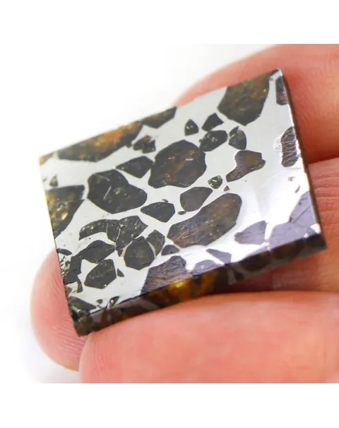 Pallasite Seymchan