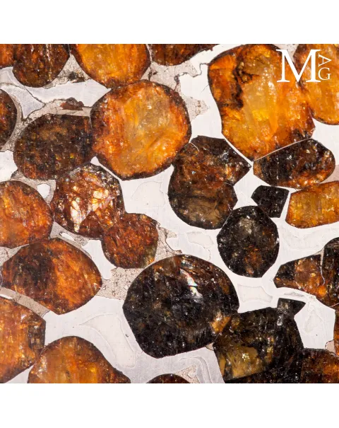 Ciondolo in Argento con Meteorite Pallassite