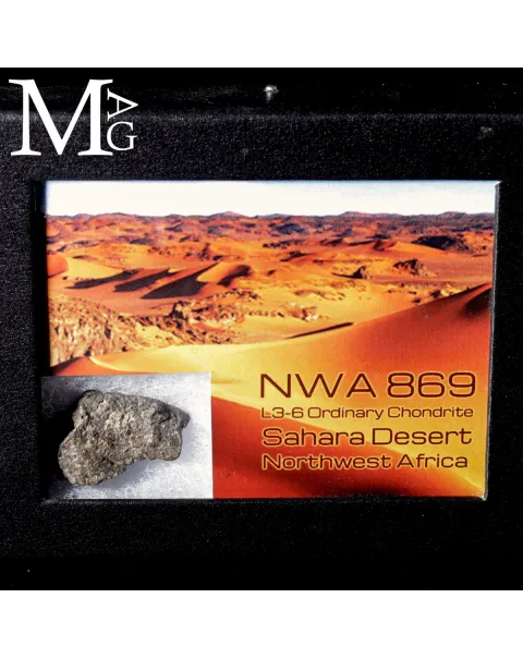 Meteorite NWA 869 - Condrite Ordinaria L3-6 del Nord-Ovest Africa