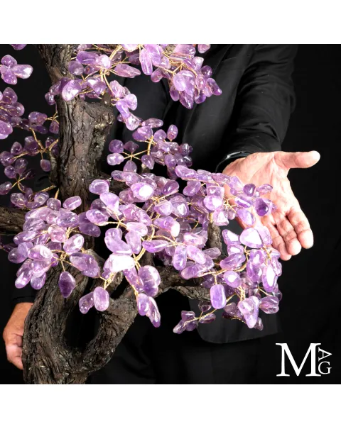 Albero Bonsai in Ametista su Drusa Naturale – Albero della Vita.