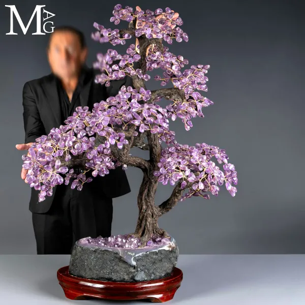 Albero Bonsai in Ametista su Drusa Naturale – Albero della Vita.