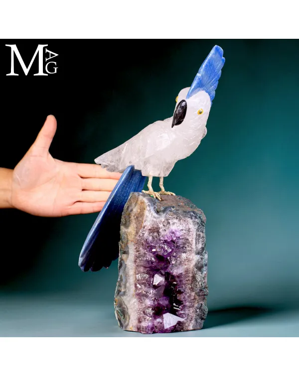 Elegante Cacatua in Quarzo Ialino e Quarzo Blu su ...