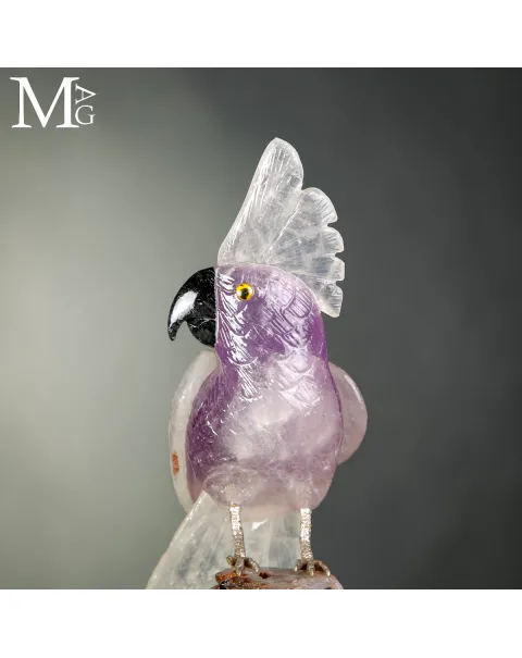 Pappagallo Cacatua in Ametista e Quarzo su Drusa di Citrino.