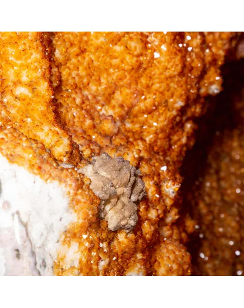 Un Magnifico Geode di Quarzo Citrino dal Brasile - Un Capolavoro Unico