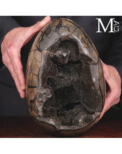 Geode di Septaria - Uovo