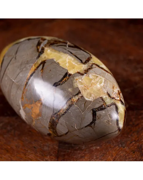 Shiva Lingam in Septaria