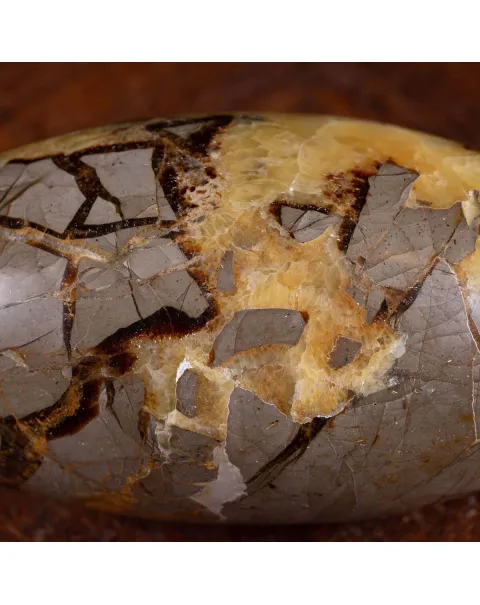 Shiva Lingam in Septaria